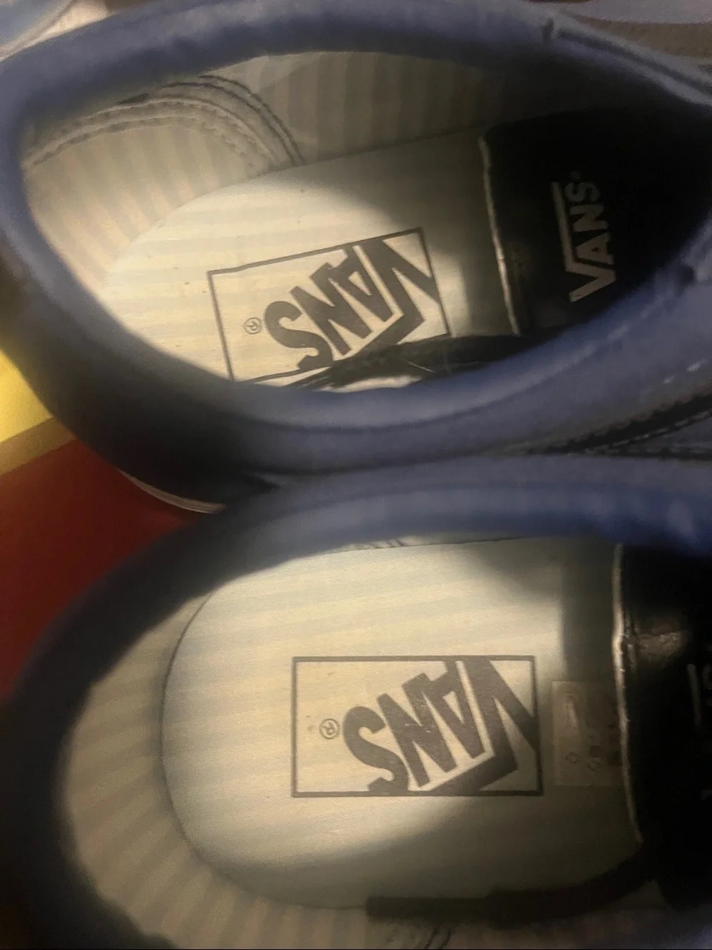 Vans low top